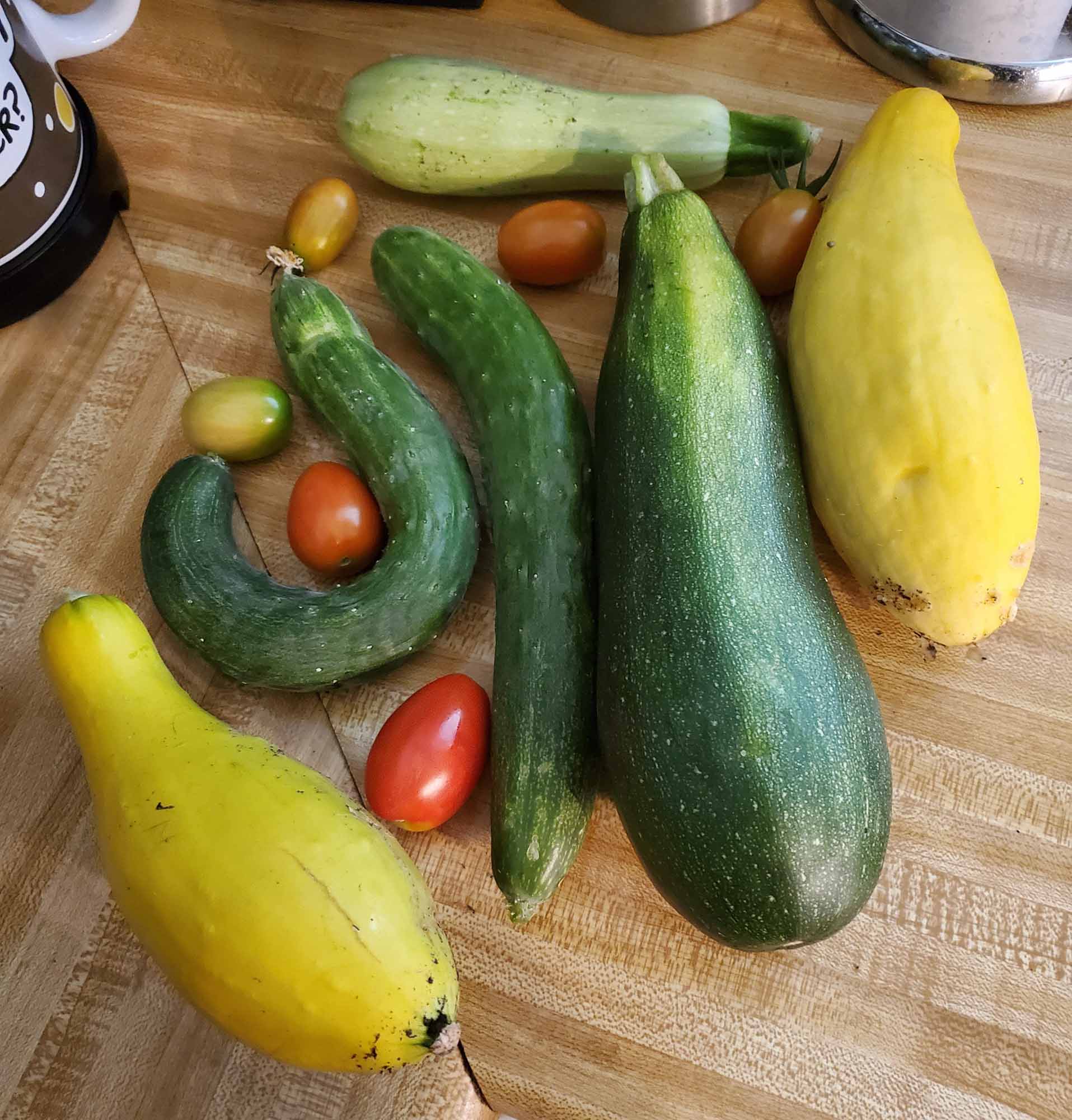 Gardening Diary – July 29, 2021