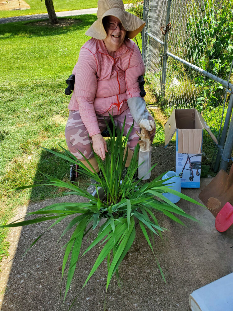 Gardening Diary – June 3, 2022