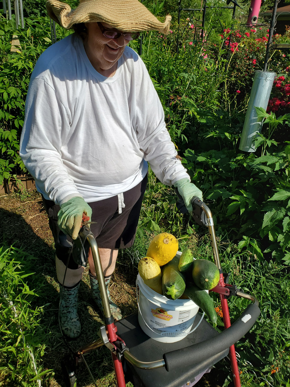 Gardening Diary – July 3, 2020