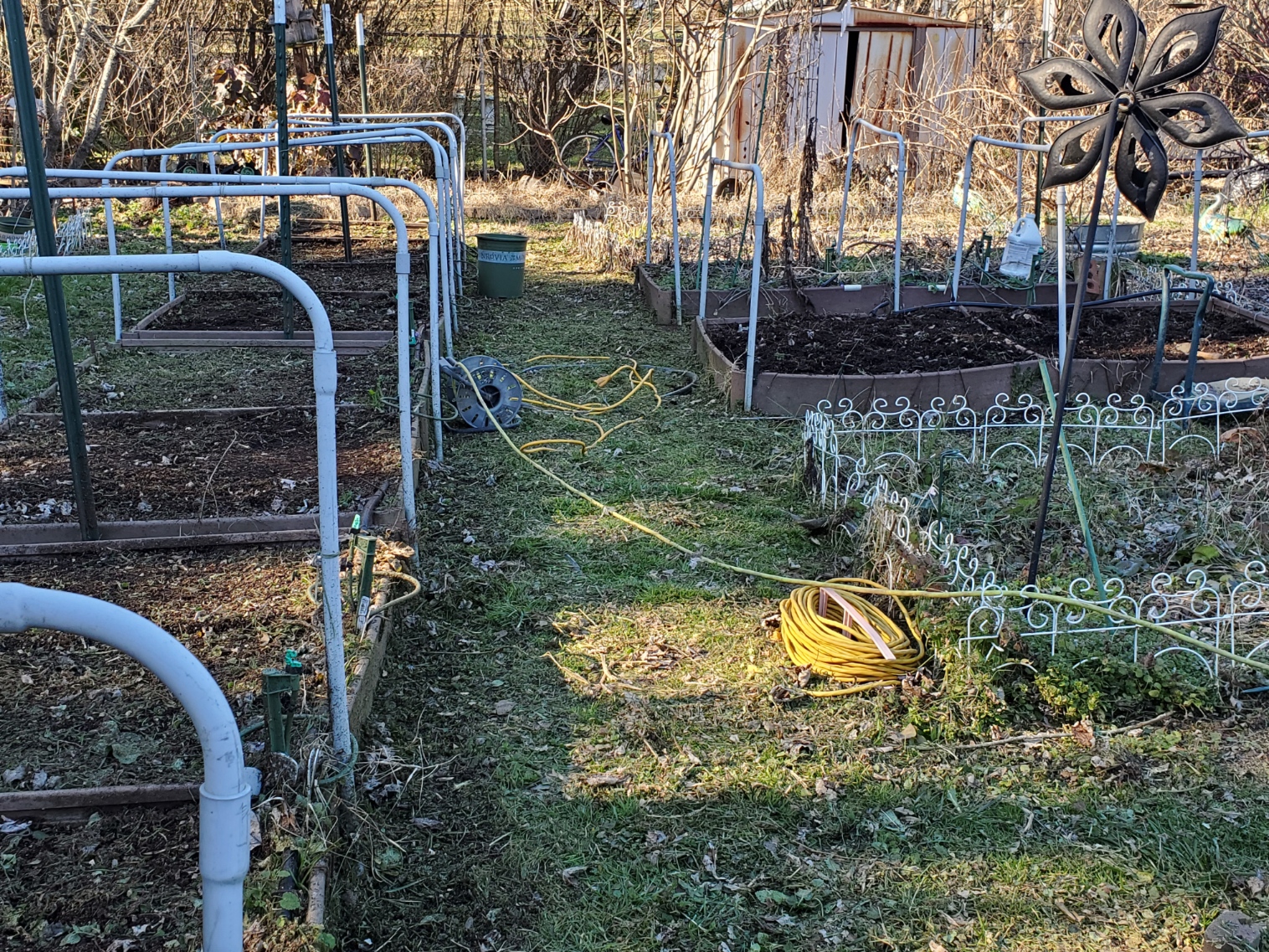 Gardening Diary – January 23, 2021